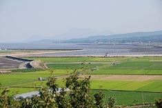 竜王崎より有明海